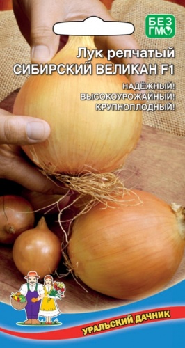 Лук репчатый Сибирский Великан F1  0_2гр_10