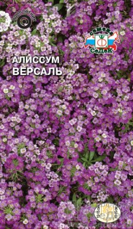 Алиссум морской Версаль  0_1гр_10