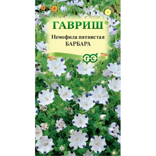 Немофила Барбара  0_3гр_10