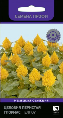 Целозия Глориас Еллоу перистая  10шт_10