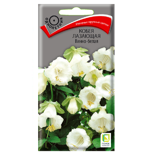 Кобея лазающая Винно-белая  5шт_10