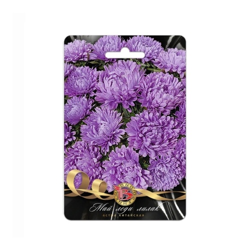 Астра Май Леди Лилак китайская  30шт_5_10