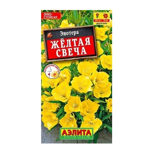 Энотера Желтая свеча  0_2гр_10