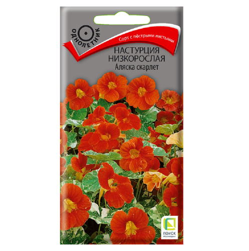 Настурция низкорослая Аляска скарлет  1гр_10