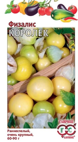 Физалис Королек  0_3гр_10