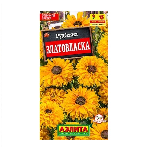 Рудбекия Златовласка  0_1гр_10