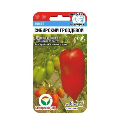 Томат Сибирский гроздевой  20шт_10