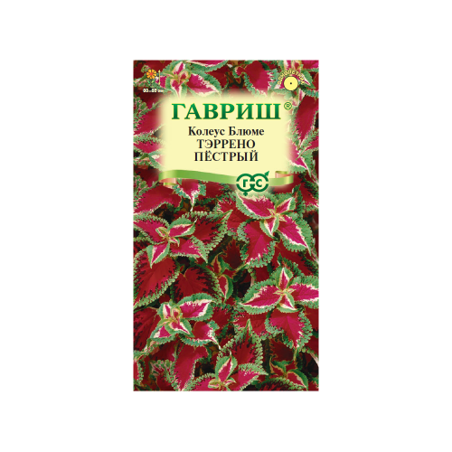 Колеус Тэррено пестрый  4шт_10