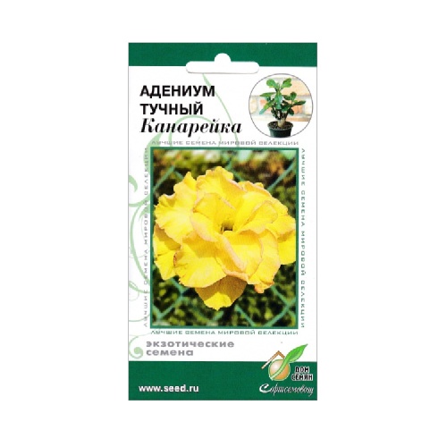 Адениум тучный Канарейка 3 шт_10