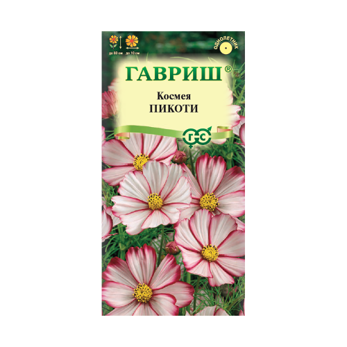Космея Пикоти  0_3гр_10