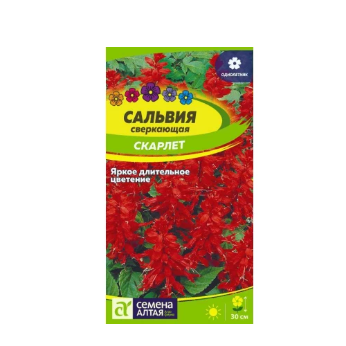 Сальвия Скарлет Сверкающая 0_1гр _10