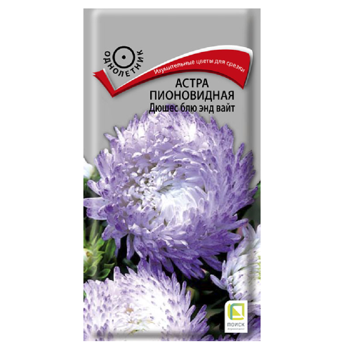 Астра пионовидная Дюшес Блю энд вайт  0_3гр_10