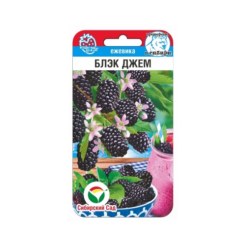 Ежевика Блэк Джем 10шт_10