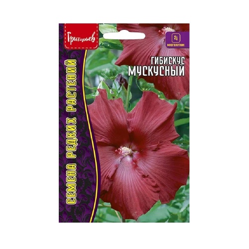 Гибискус Мускусный  5шт_10