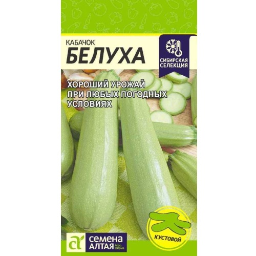 Кабачок Белуха  2гр_10