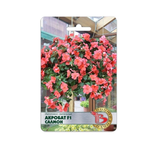 Импатиенс Акробат F1 Салмон ампельный  8шт_5_10