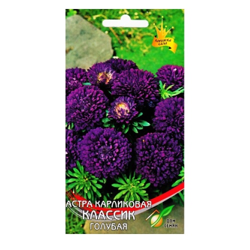 Астра Классик голубая 95 шт_10