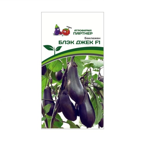 Баклажан Блэк Джек F1 10шт _10