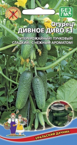 Огурец Дивное Диво 10-12шт_10