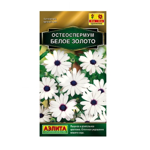 Остеоспермум Белое золото  10шт _10