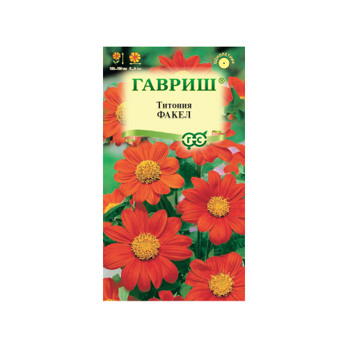 Титония Факел  0_3гр_10