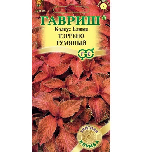 Колеус Тэррено румяный  4шт_10