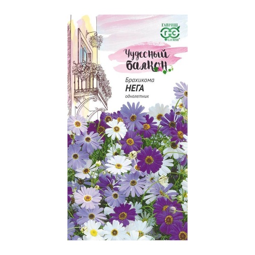 Брахикома Иберисолистная Нега_Чудесный балкон  0_02гр_10