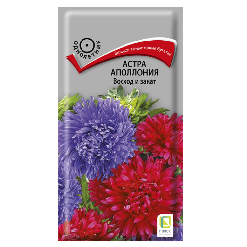 Астра Аполлония Восход и закат  0_3гр_10