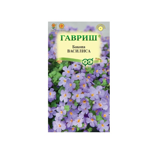 Бакопа Василиса (Сутера)  3шт_10