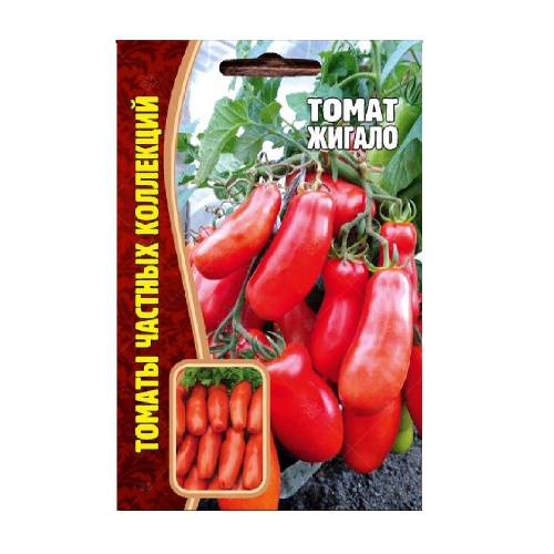 Томат Жигало  10шт_10