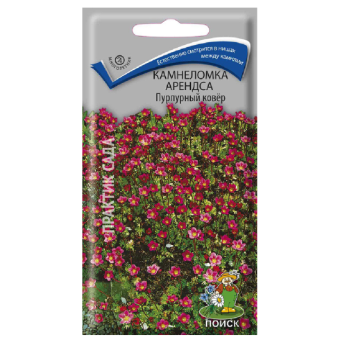 Камнеломка Арендса Пурпурный ковер  0_01гр_10 
