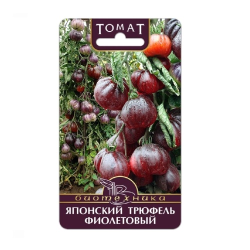 Томат Японский трюфель Фиолетовый 20шт _5