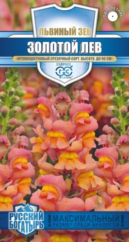 Львиный зев Золотой лев_Русский богатырь  0_05гр_10