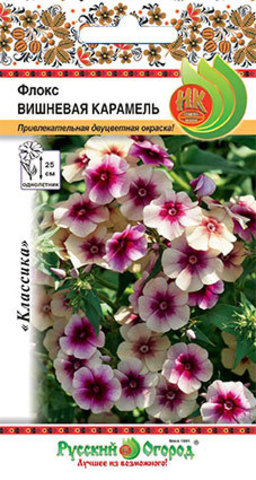 Флокс Вишневая Карамель  0_1гр_10_200
