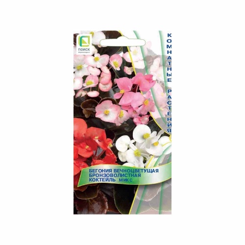 Бегония Коктейль Микс вечноцветущая бронзоволистная 25шт _10