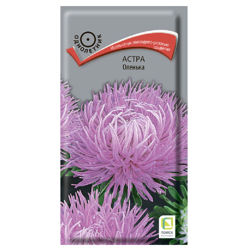 Астра Оленька  0_3гр_10