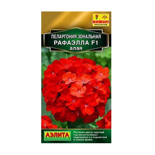 Пеларгония Рафаэлла алая F1 5шт  _10