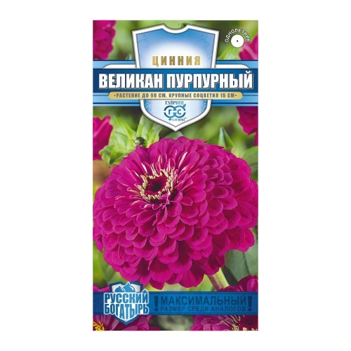 Цинния Великан пурпурный _Русский богатырь_ 0_3гр  _10