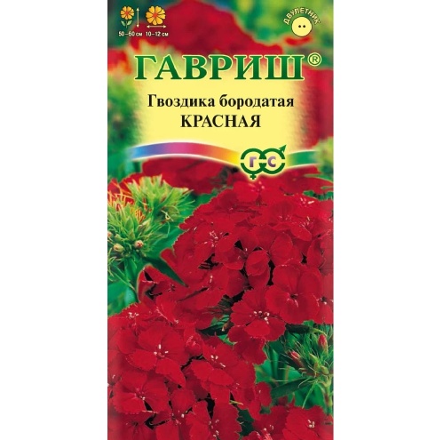Гвоздика бородатая (турецкая) Красная 0_1гр_10