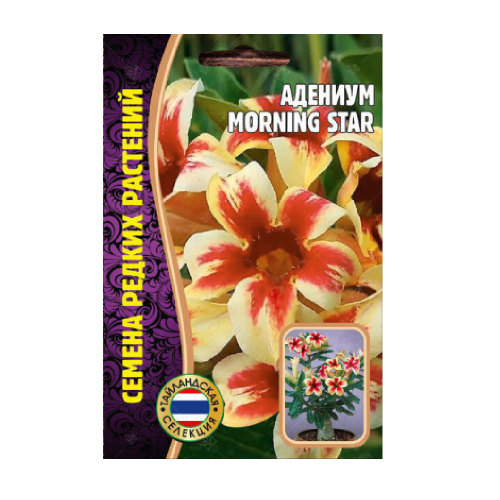 Адениум MORNING STAR 3шт_10