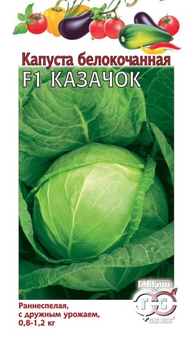 Капуста б_к Казачок F1  0_1гр_10