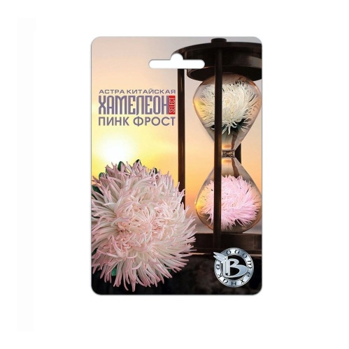 Астра Хамелеон Пинк Фрост китайская  30шт_5_10
