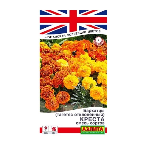 Бархатцы Креста отклоненные_ смесь сортов 7шт_10