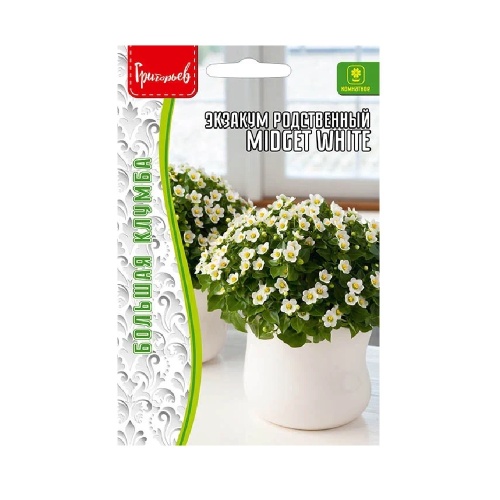 Экзакум Midget White родственный10шт _10