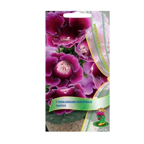 Глоксиния Импресс Парпл  5шт_10
