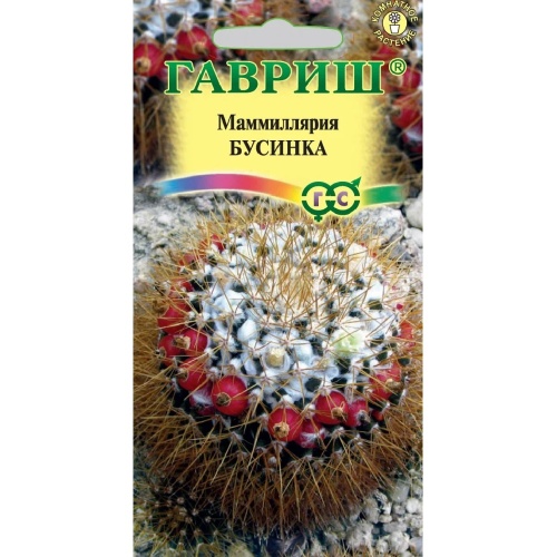 Маммиллярия Бусинка  2шт_10