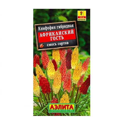 Книфофия Африканский гость смесь 30шт_10