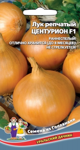 Лук репчатый Центурион  0_25гр_10