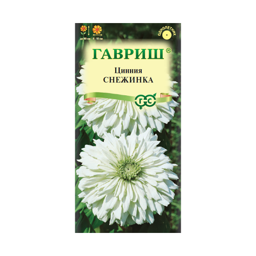 Цинния Снежинка  0_2гр_10