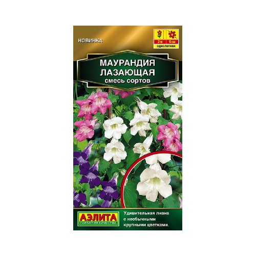 Маурандия лазающая смесь сортов 5шт _10